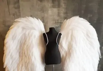 White Angel Wings